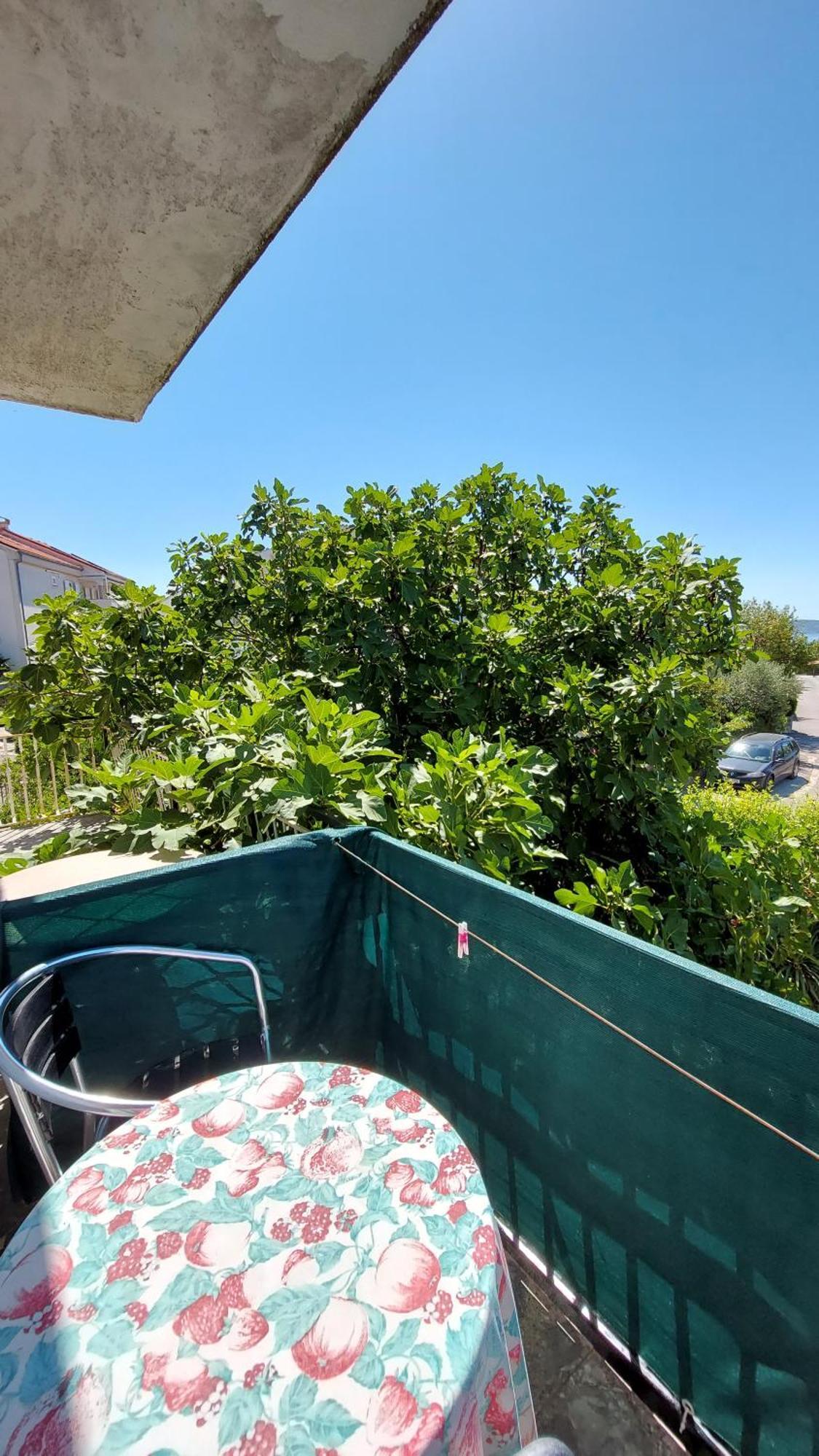 Apartment Drazica *